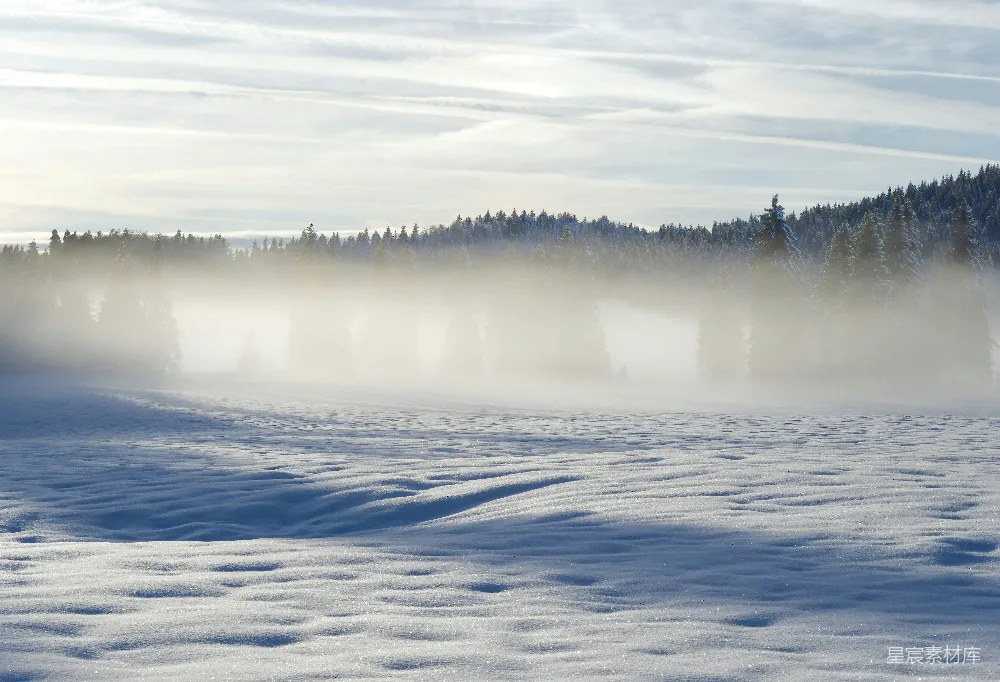 高清摄影 背景中有树木的雪覆盖着的田野