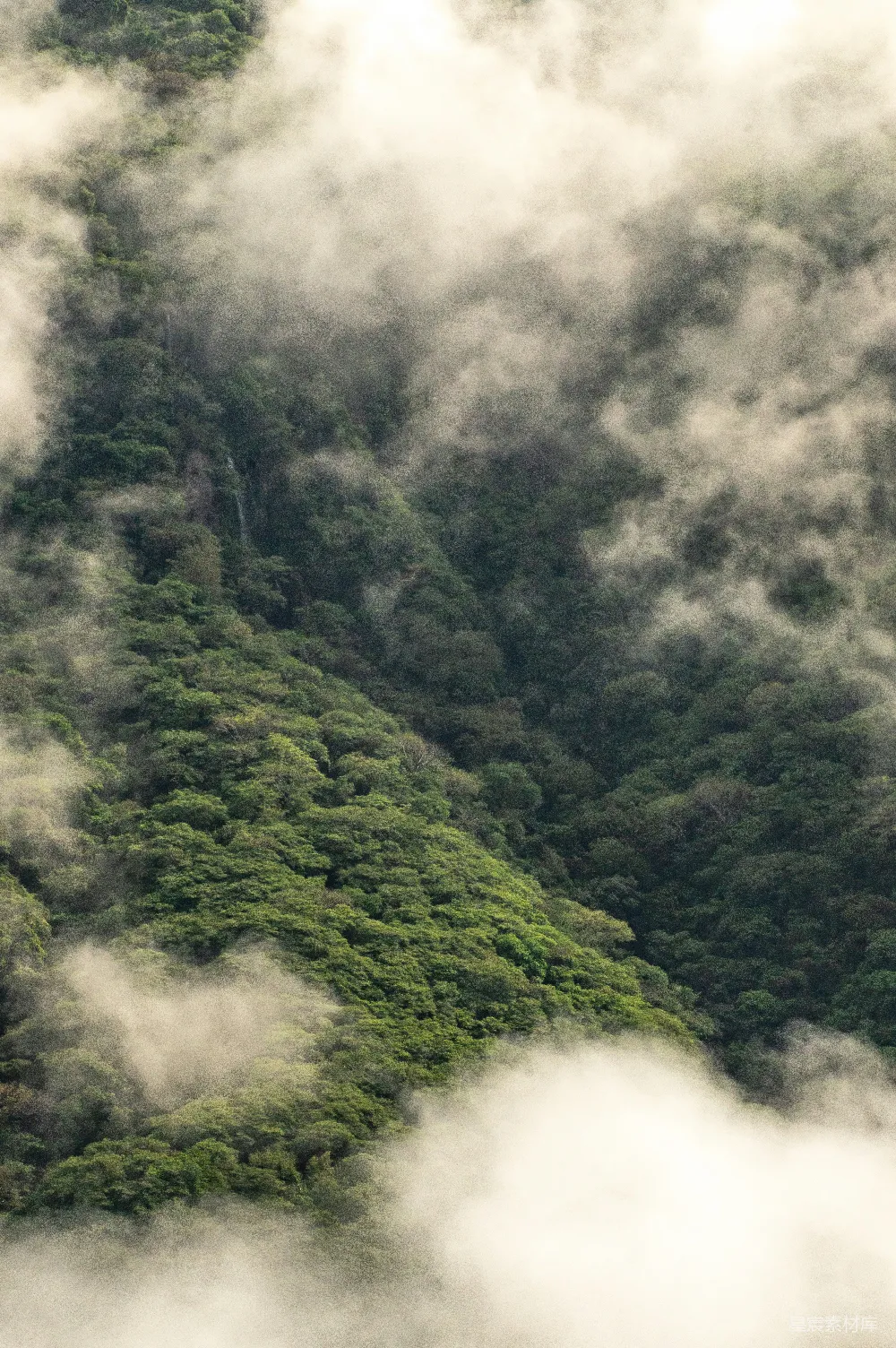 高清摄影 山林覆盖率