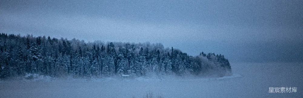 高清摄影 覆盖着白雪的森林的鸟瞰摄影
