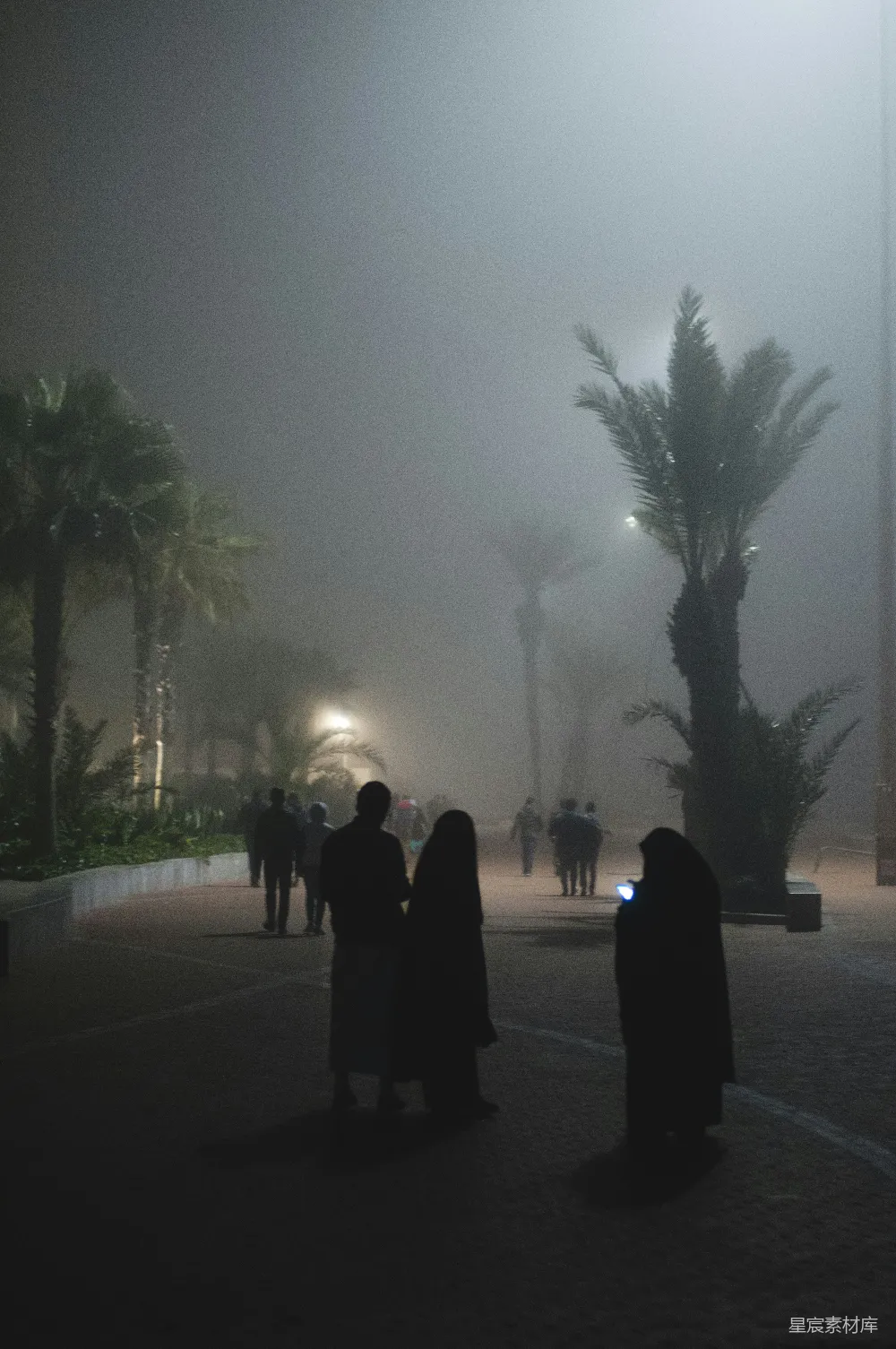 高清摄影 一群人在夜晚的街道上站立