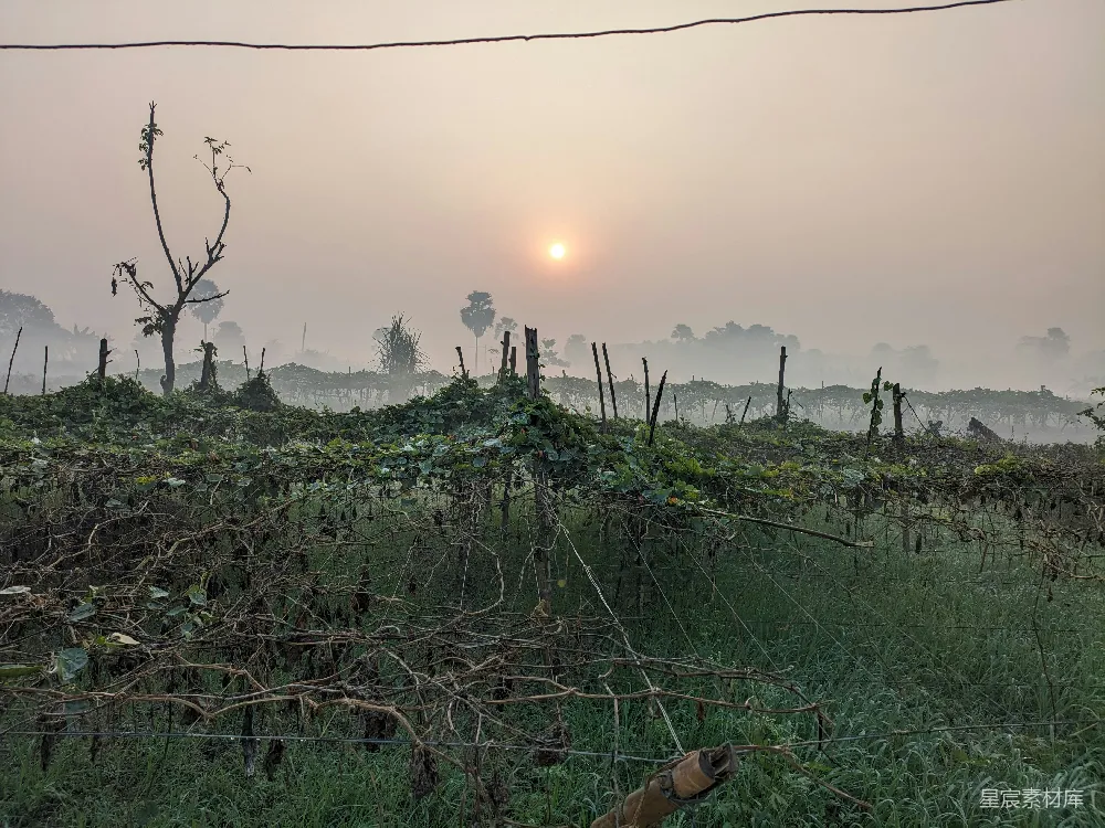 高清摄影 夕阳西下在一片草地上方