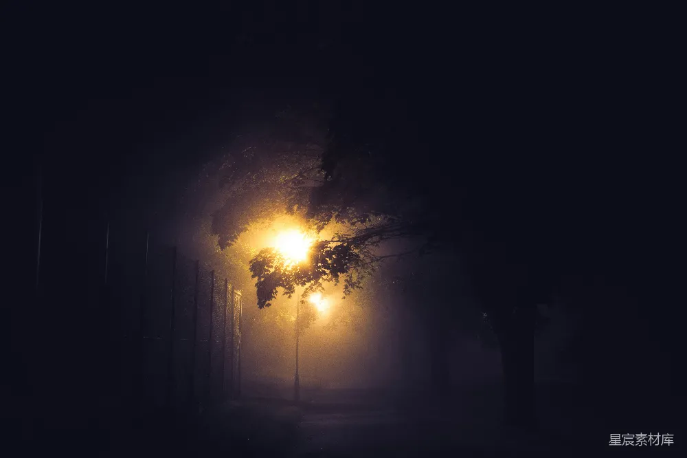 高清摄影  雾蒙蒙夜晚一条昏暗的街道灯光