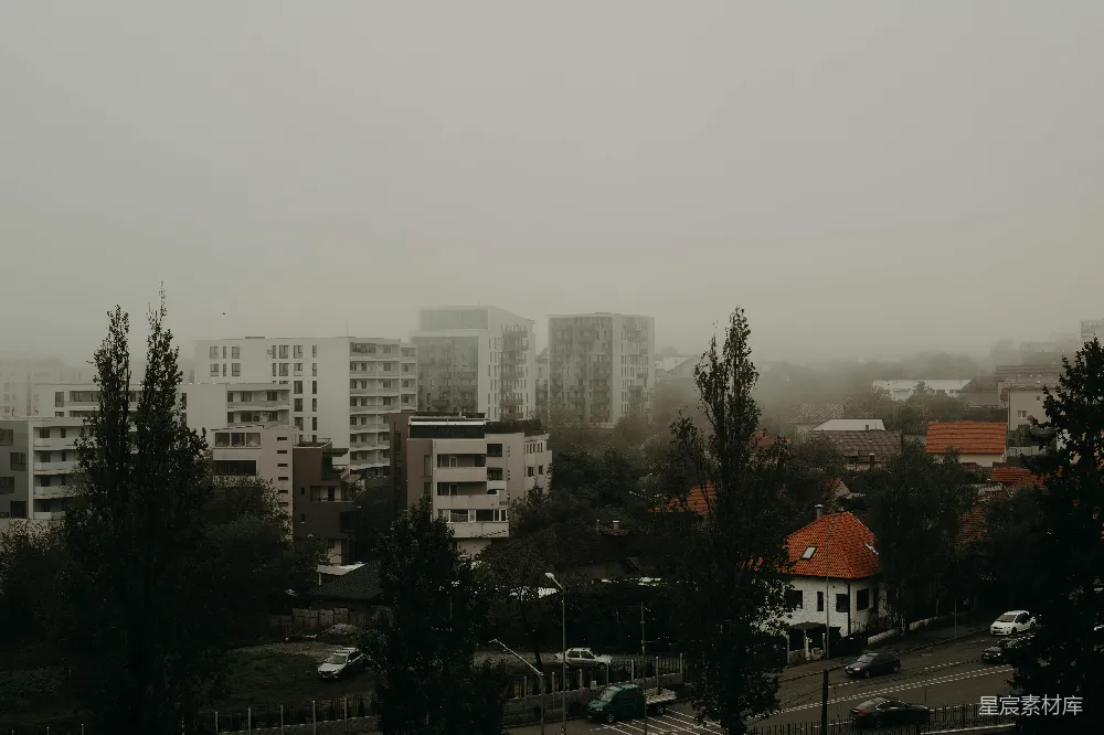 高清摄影 背景中有树的房子