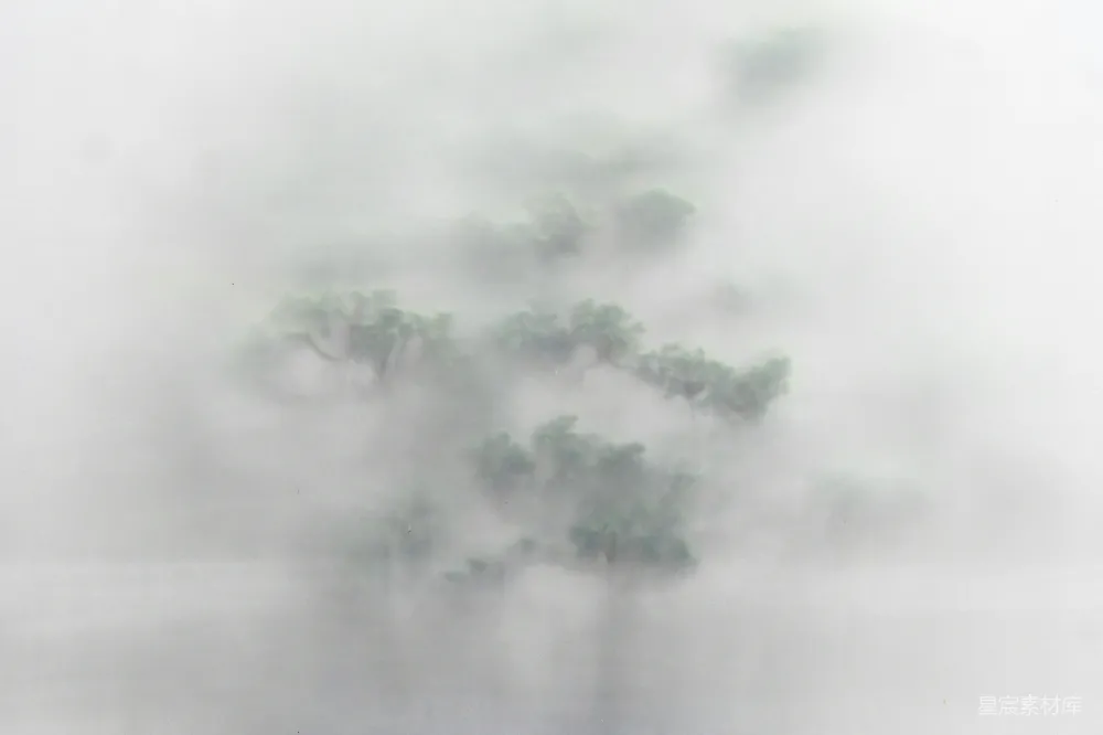 高清摄影  雾中树木从薄雾中探出头来，映衬在平静的水面上。