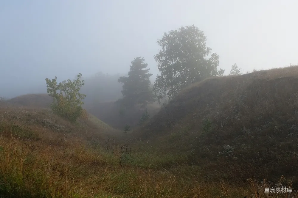 高清摄影 绿 hills