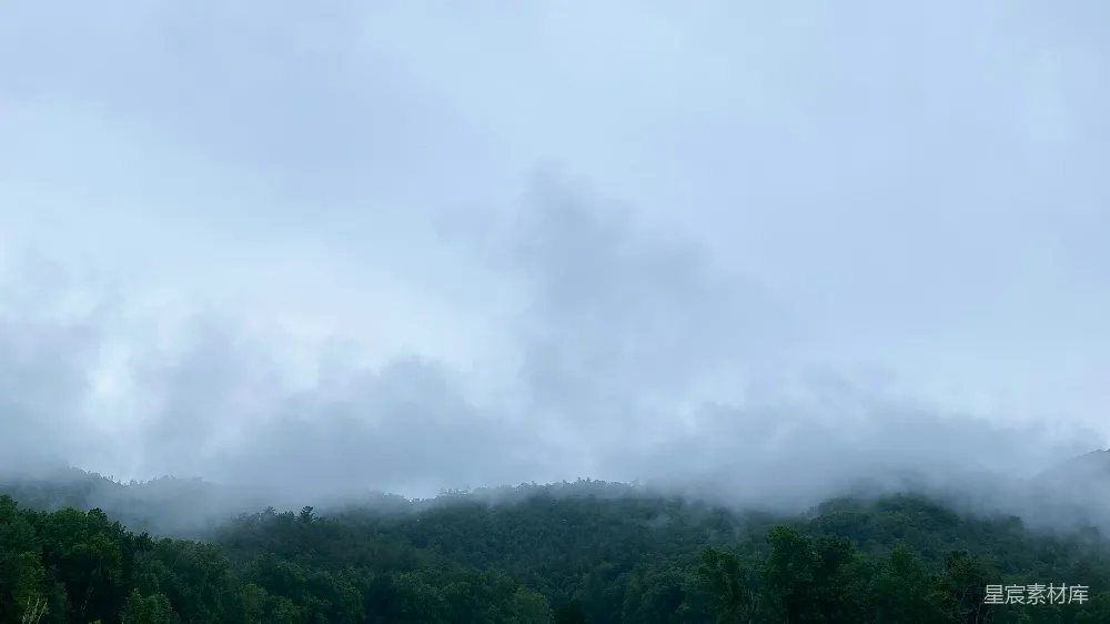 高清摄影 云雾缭绕的山林中的一个阴天景色