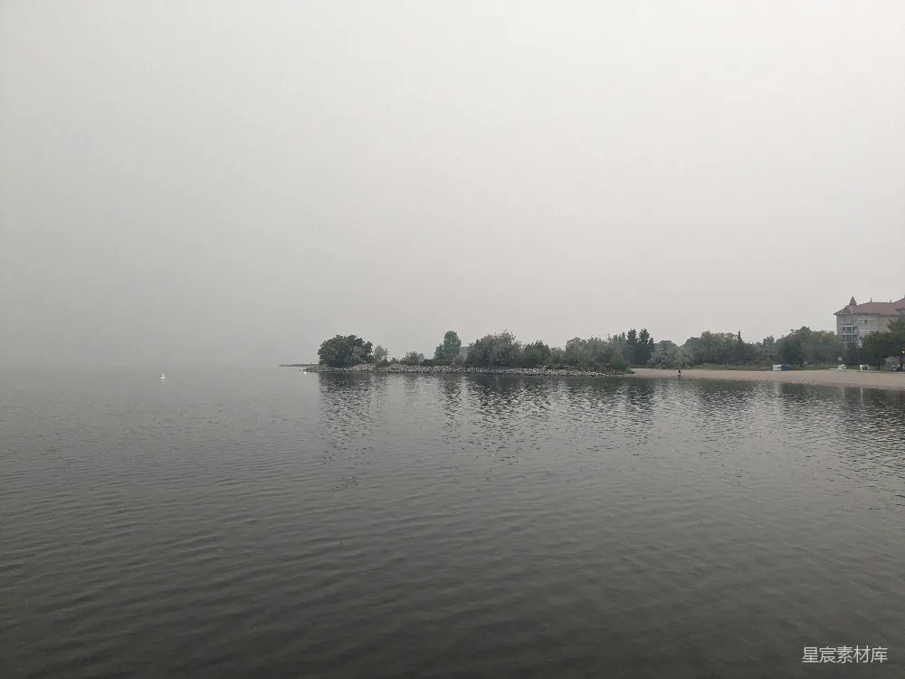 高清摄影 背景中有许多树木的大片水域