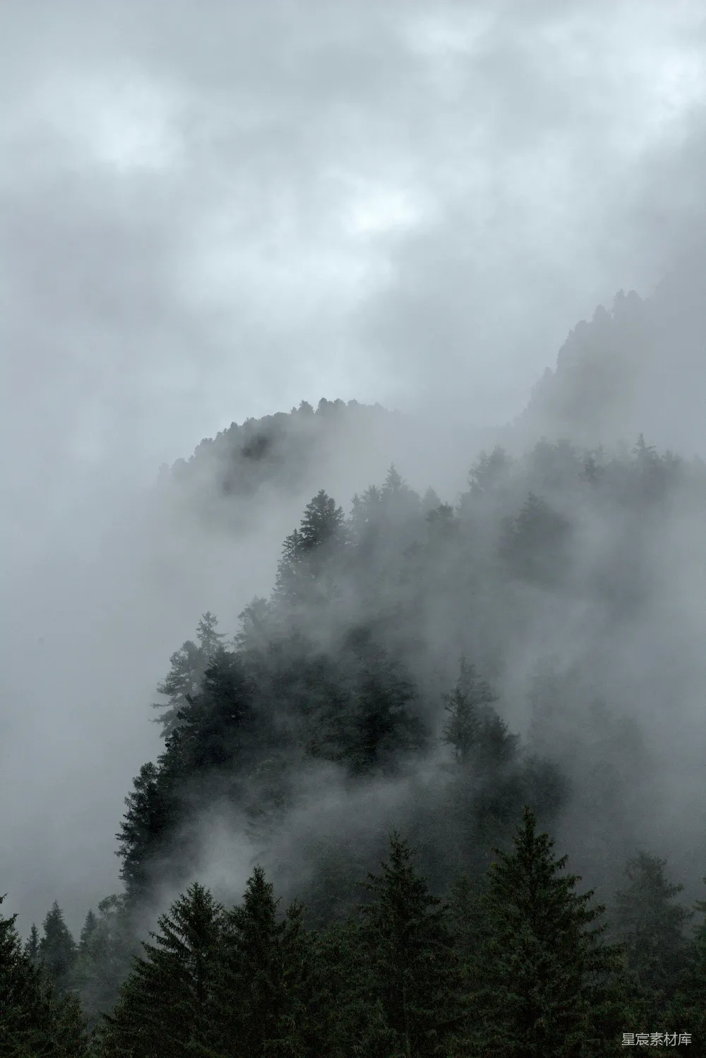 高清摄影 一座被薄雾覆盖的山， foreground 中的树木清晰可见。