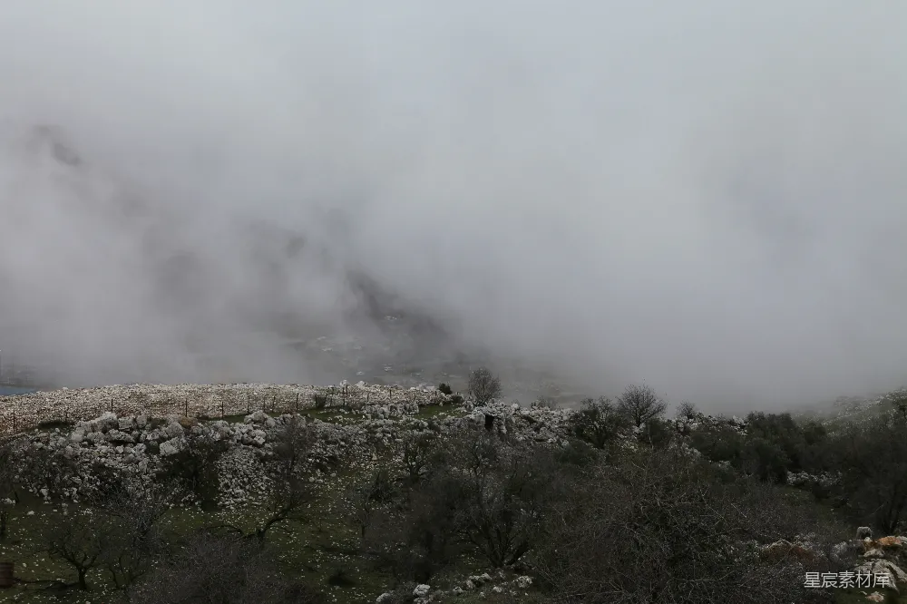高清摄影 背景中有树和山的迷雾中的景象