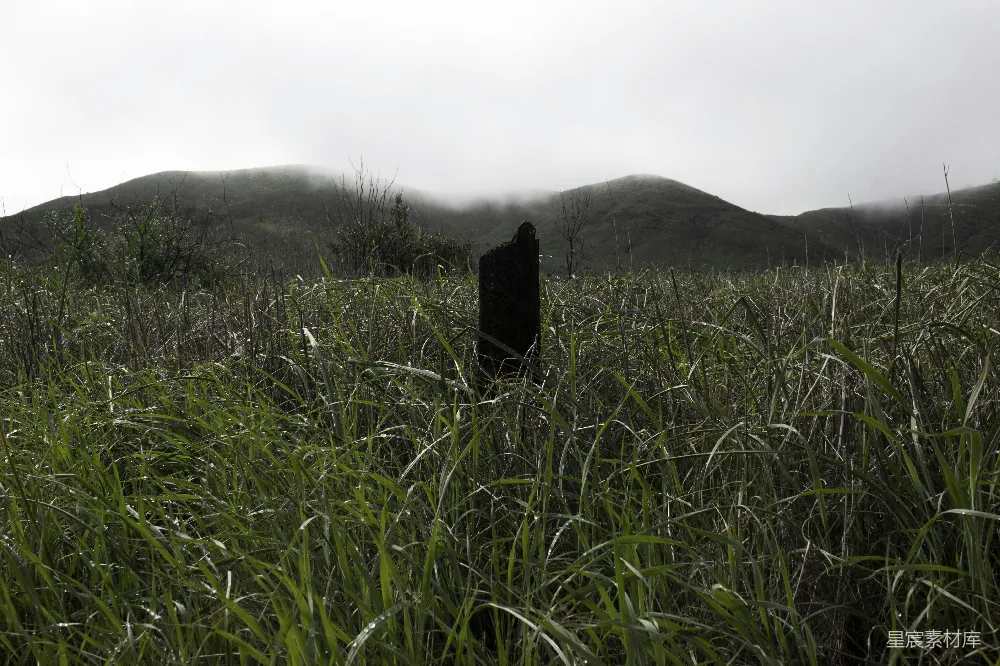 高清摄影 背景是山丘的草地场