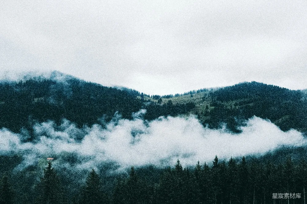 高清摄影 山中绿树映白云的白天景色