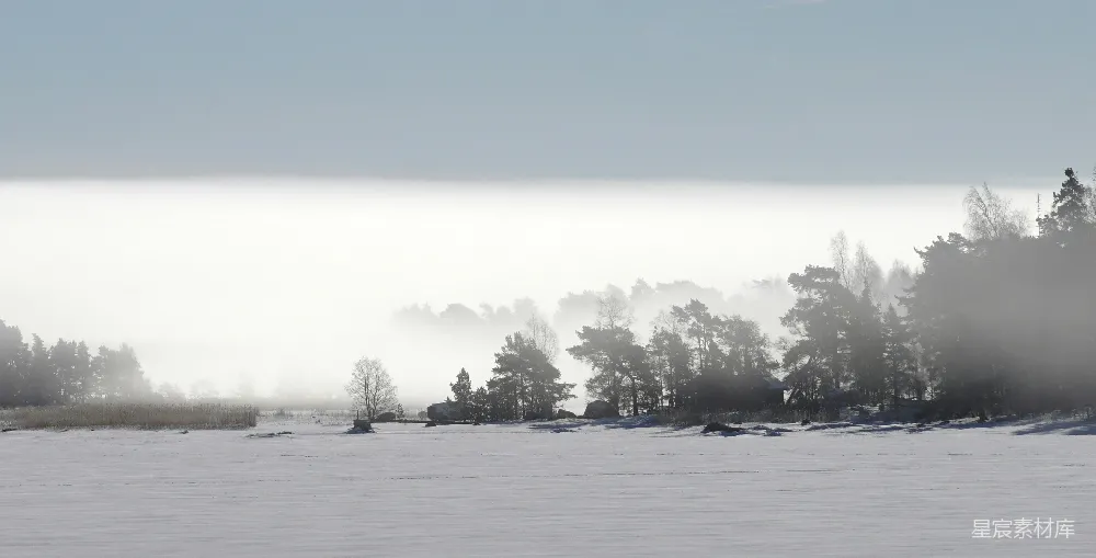 高清摄影  背景中有树的雪覆盖田野