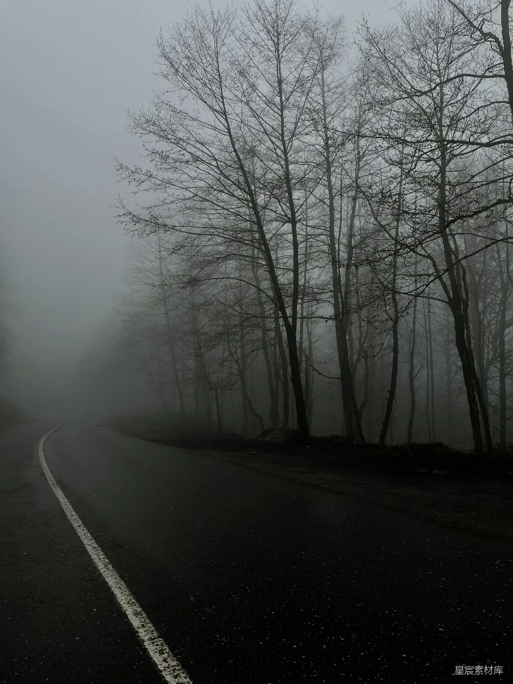 高清摄影 路边有树的道路