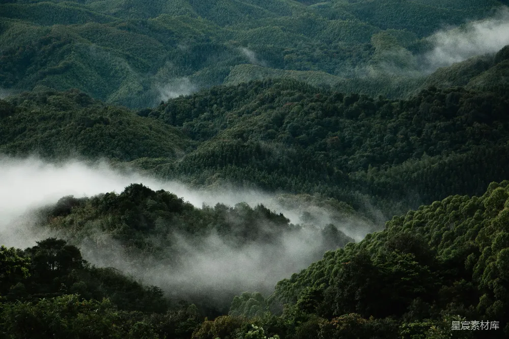 高清摄影 一条河流穿过山谷