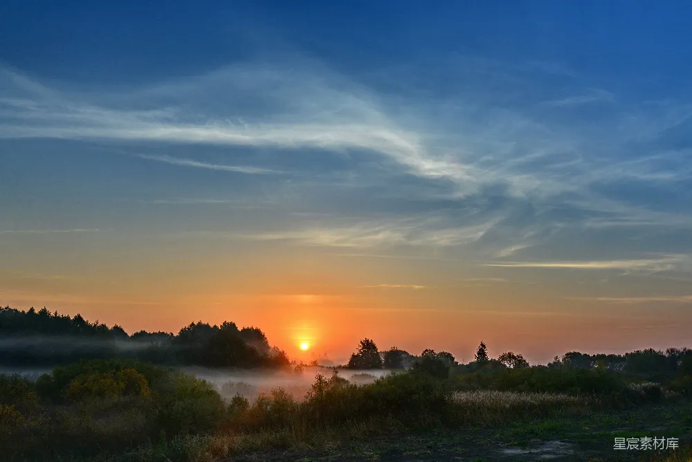 高清摄影 夕阳下的绿草.fields