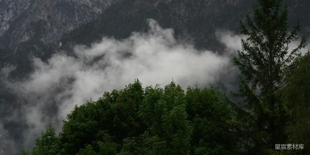 高清摄影 迷雾在一片暗色的森林山景中飘动。