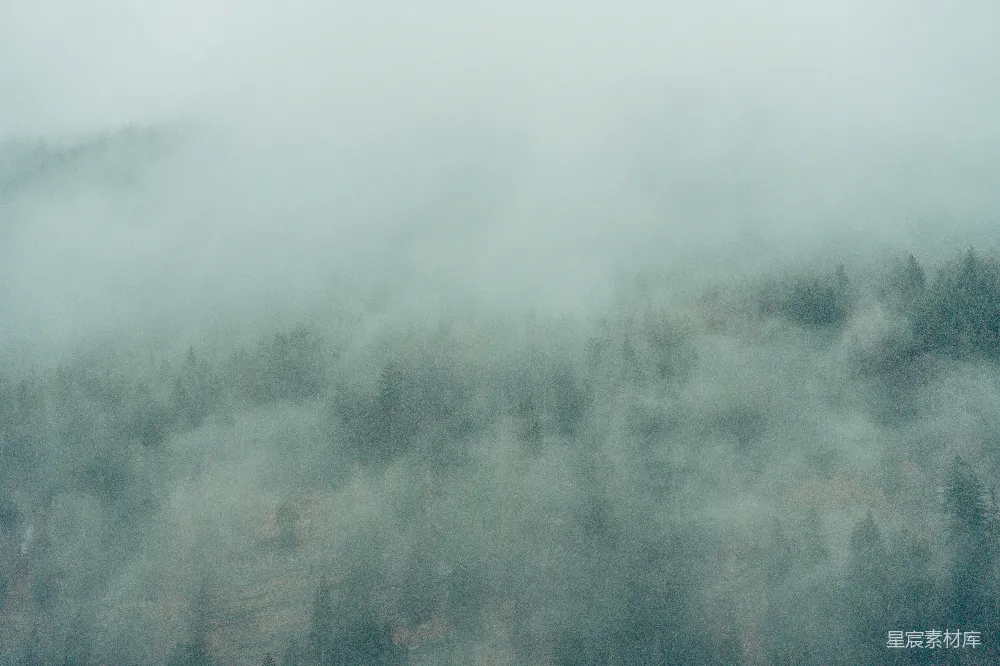 高清摄影 一座被雾笼罩的山峦，前景为树木。