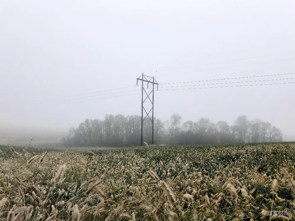 高清摄影 白天下白地上绿草 fields under青天