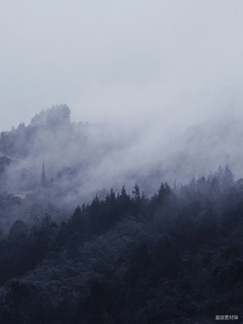 高清摄影 远处山间有雾，近处树木葱郁。