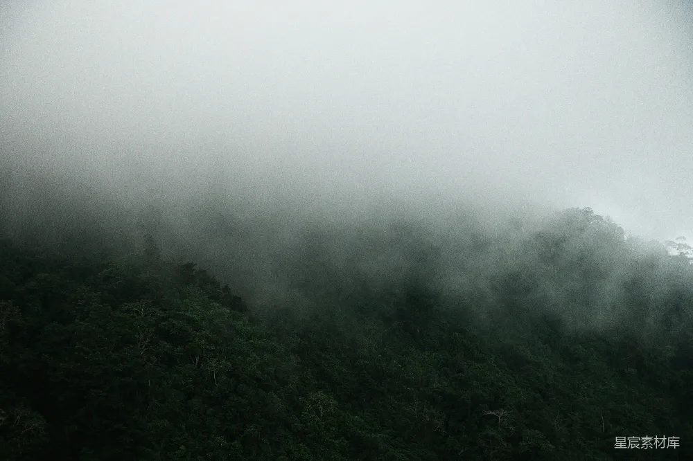 高清摄影 一架飞机在被浓雾覆盖的山头上方飞行。