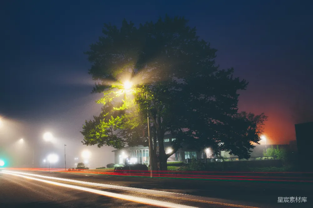 高清摄影 夜晚的城市街道，有路灯和一棵树。