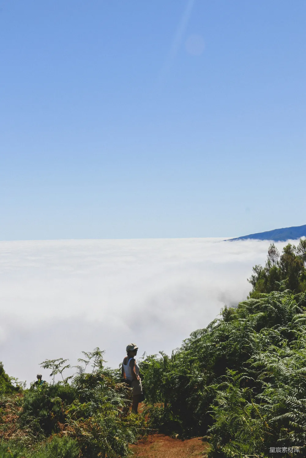高清摄影 一个男人站在一片翠绿山坡的顶端