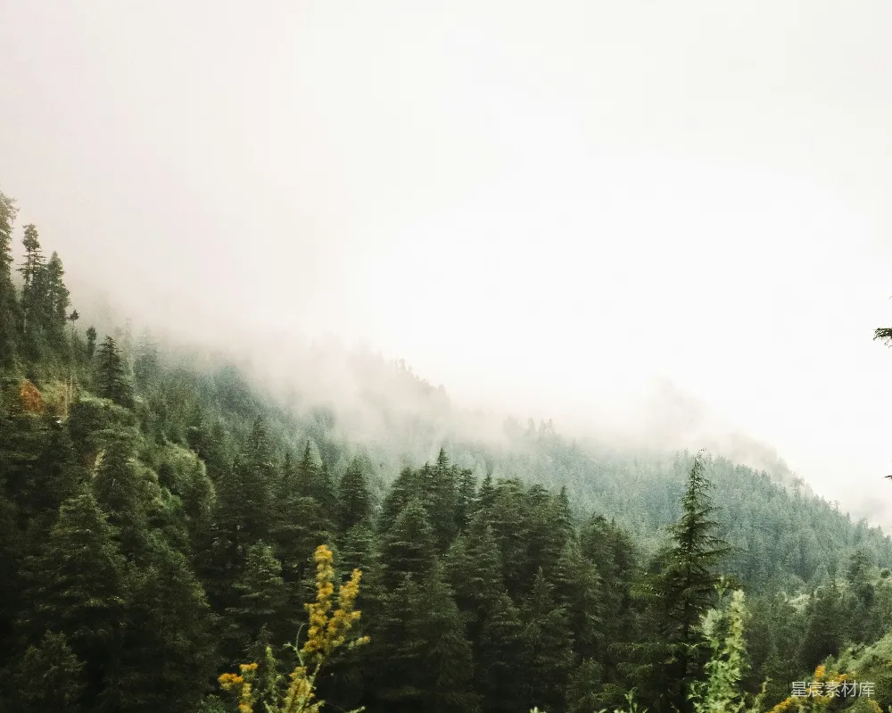 高清摄影 山林雾气缭绕的蒙蒙山。