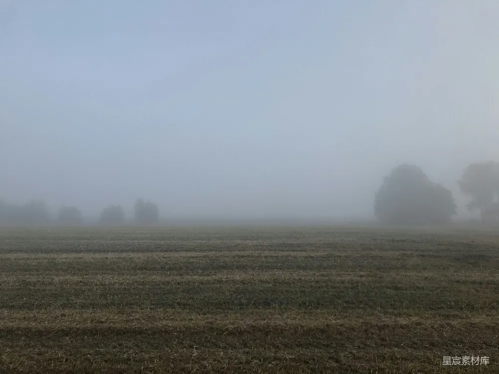 高清摄影 草地