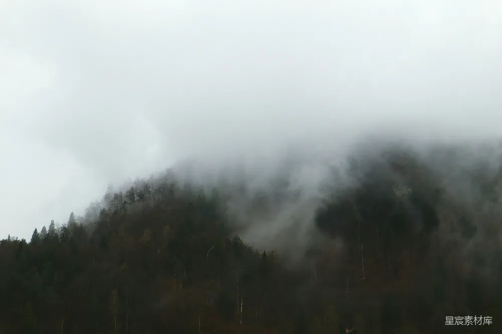 高清摄影 山间缭绕着的薄雾，背景是树木。