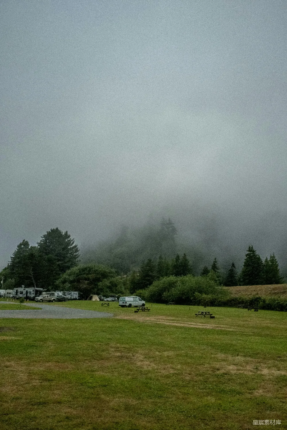 高清摄影 一棵树和一条路的田地