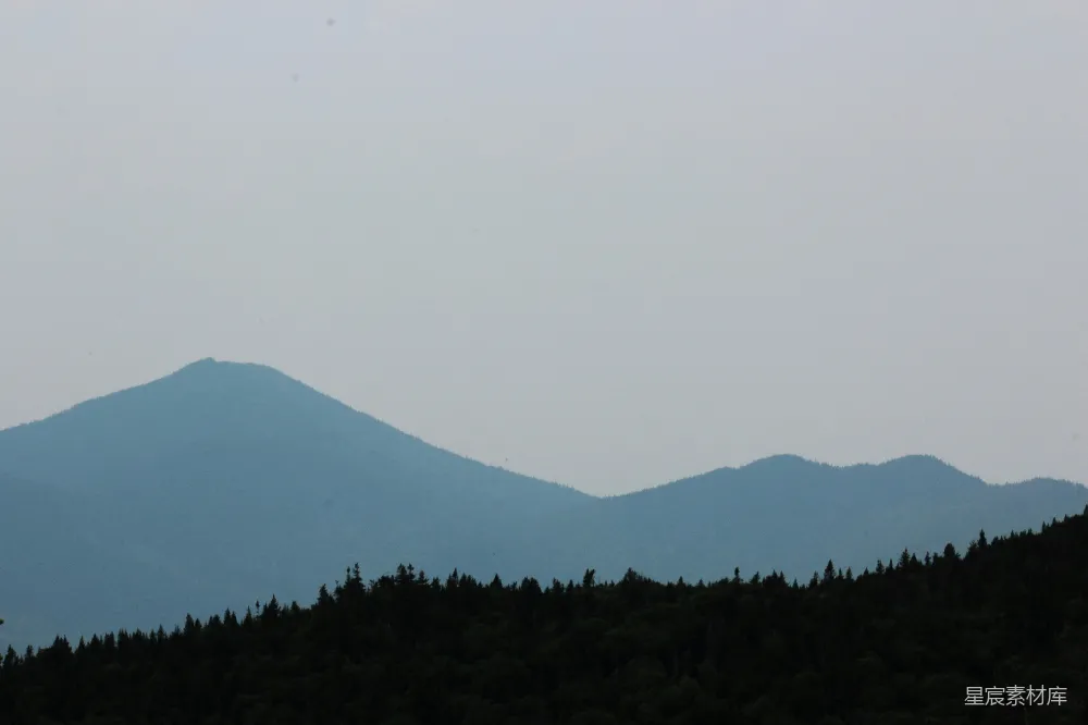 高清摄影 前景中有树木的一片山景