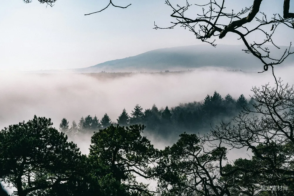 高清摄影 雾天森林的航拍照片