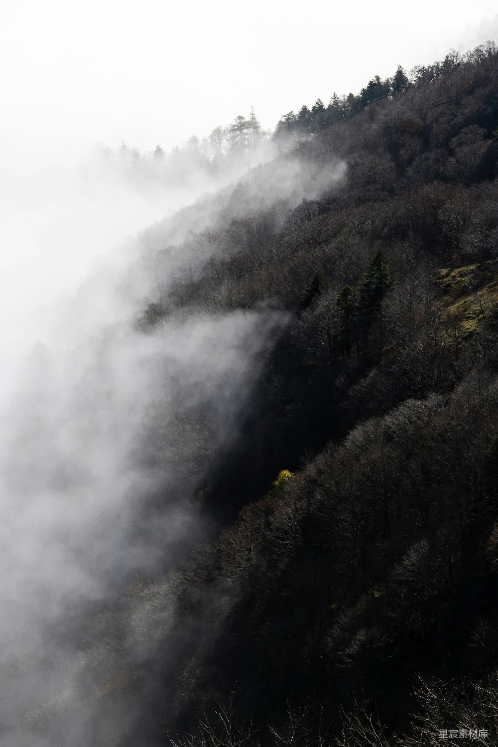 高清摄影 山中雾气弥漫，背景是树木。
