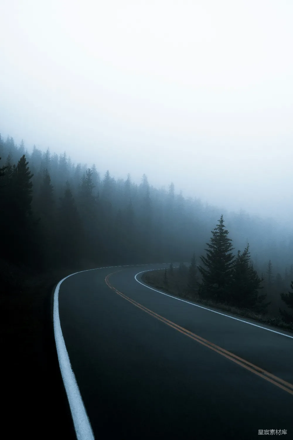高清摄影 路边有树的道路
