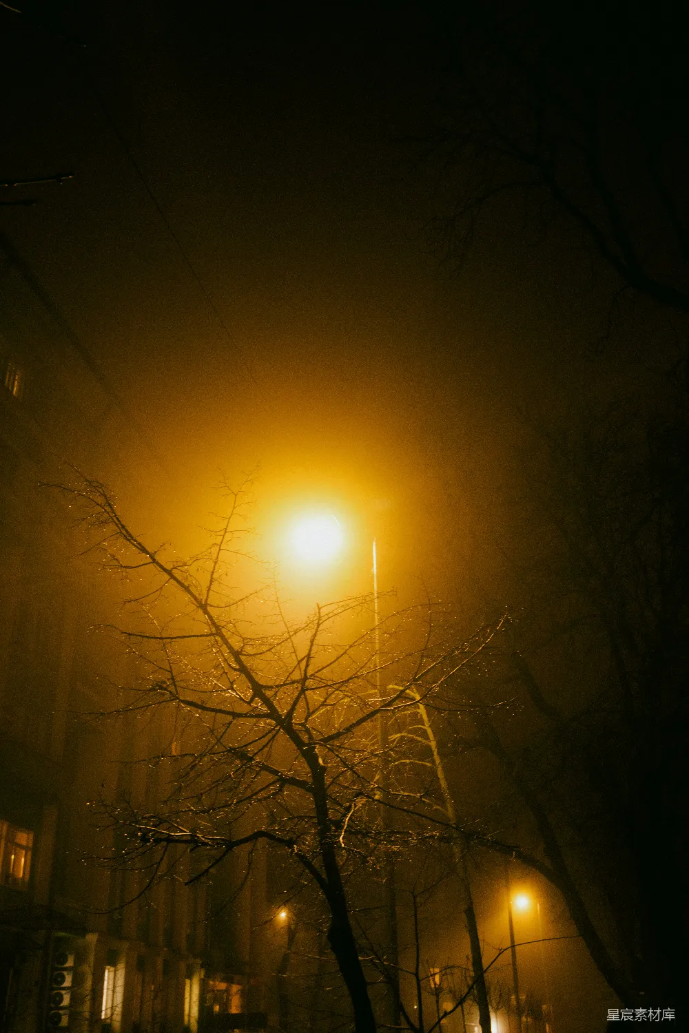 高清摄影 雾夜里的街灯