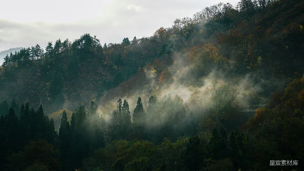 高清摄影 山中绿树映衬着白云的白天景色
