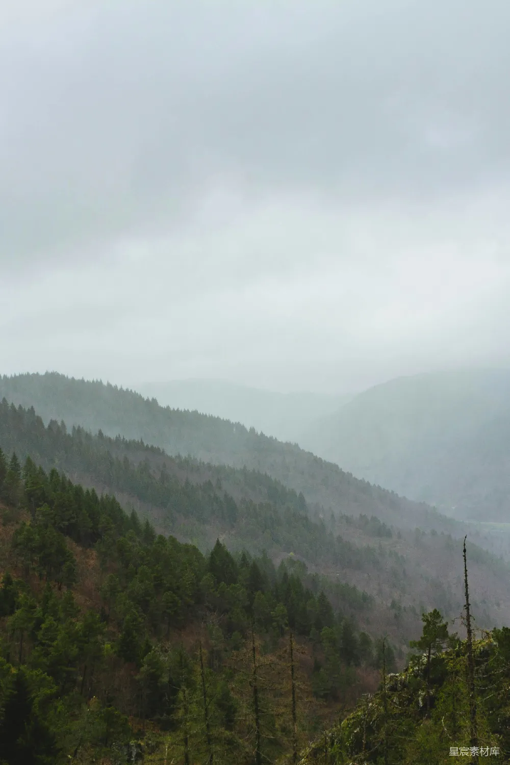 高清摄影 山林