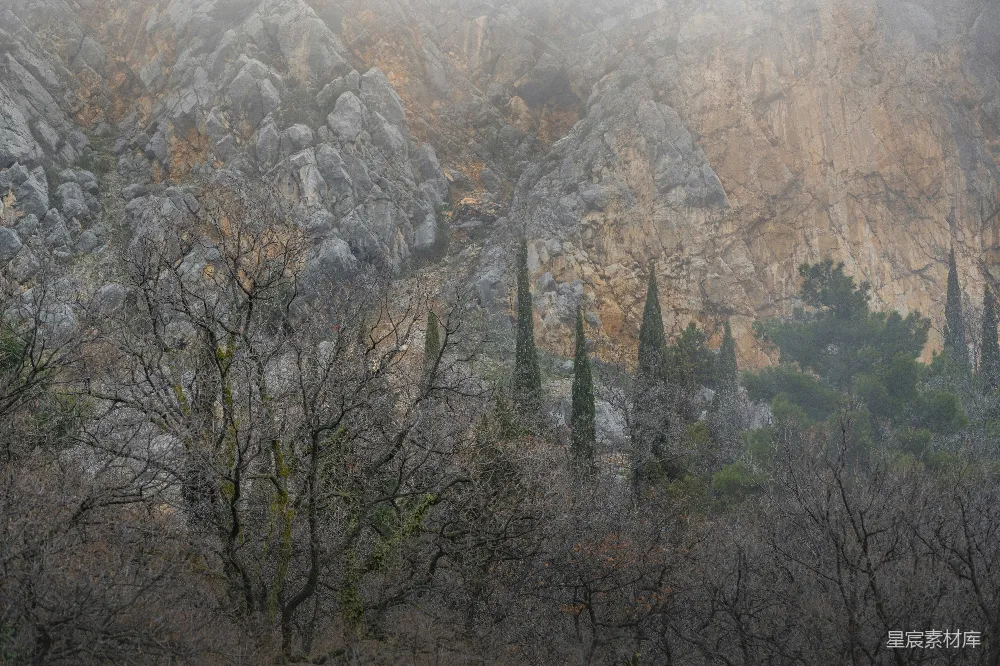 高清摄影 山间绿树白天