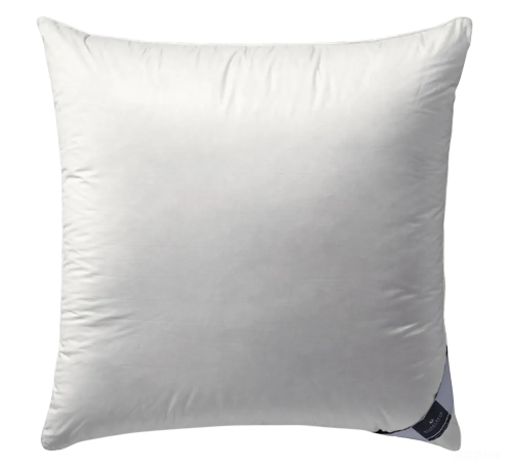 元素素材 元素 枕 Pillow 是英语单词 "pillow" 的音译，在中文中通常用于表示枕头这种物品。