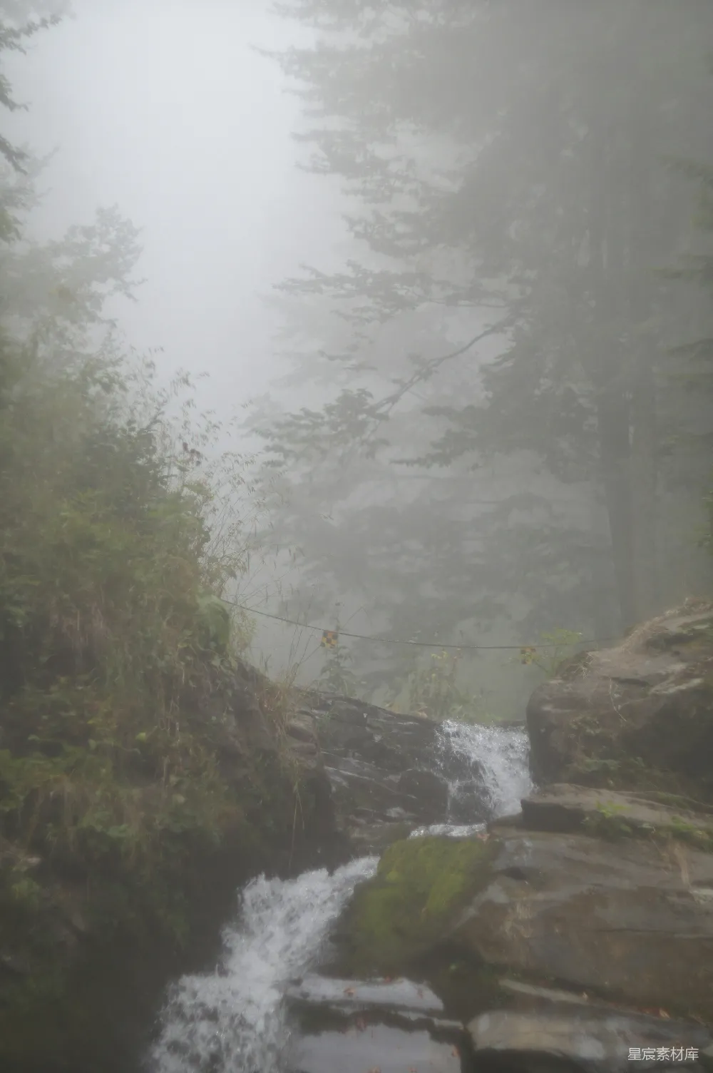 高清摄影 雾天中棕色岩石山上的绿树