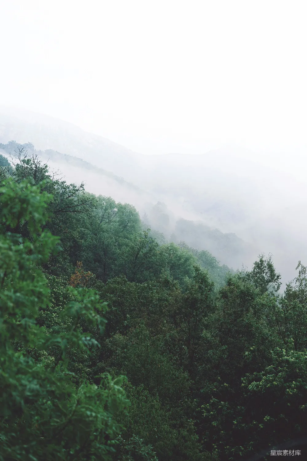 高清摄影 山间白天绿树
