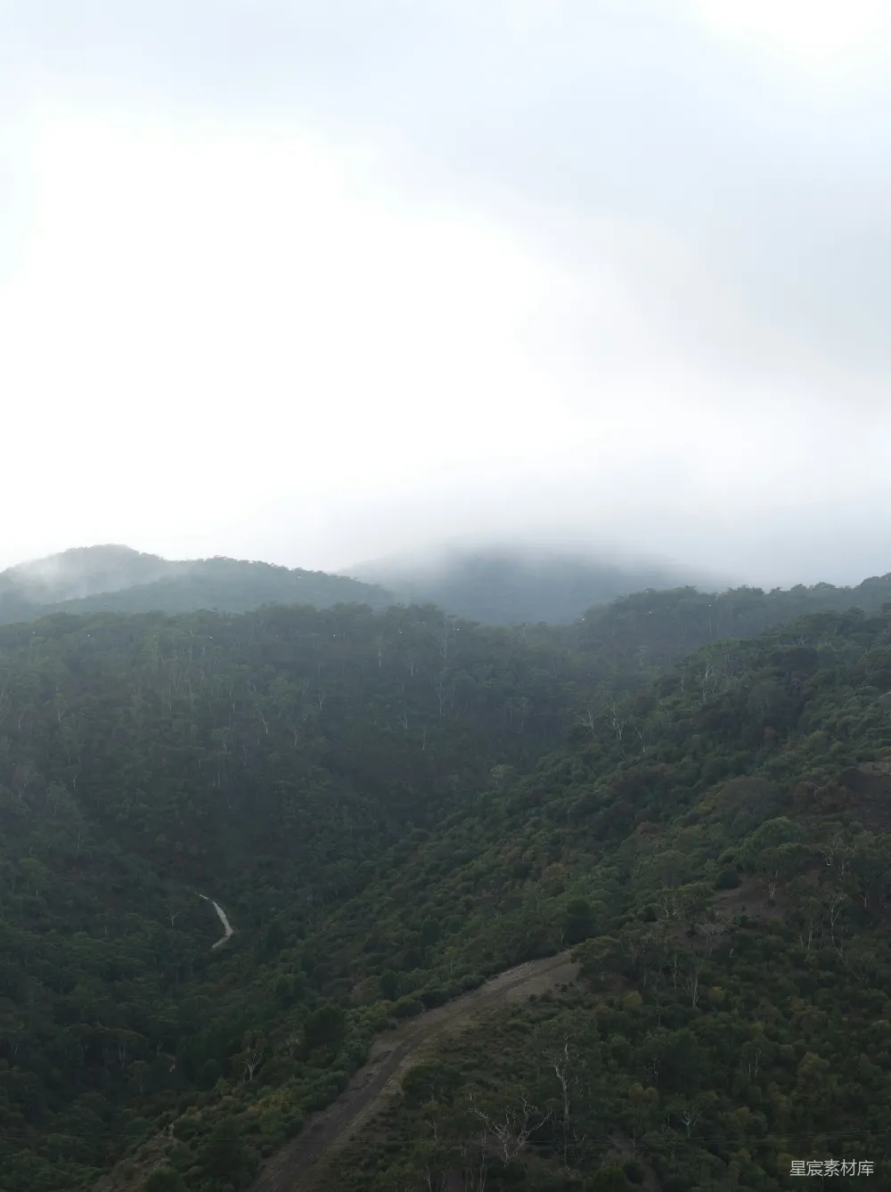 高清摄影 一幅郁郁葱葱的山坡被薄雾覆盖着的画面