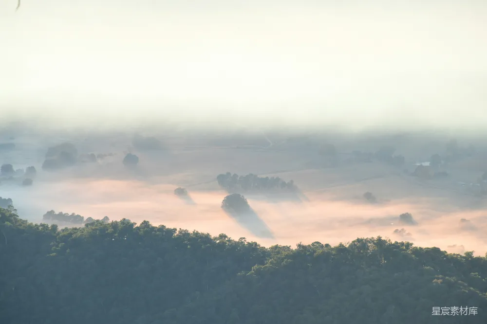 高清摄影 雾霭中的山谷景色，前景为树木。