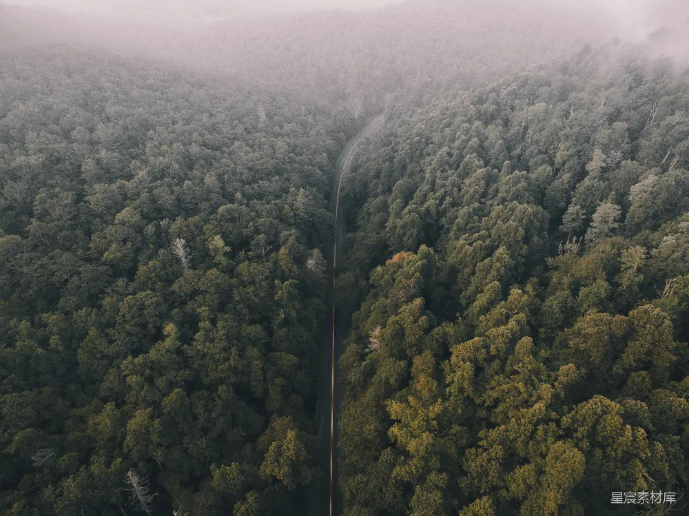 高清摄影 森林间道路的航拍
