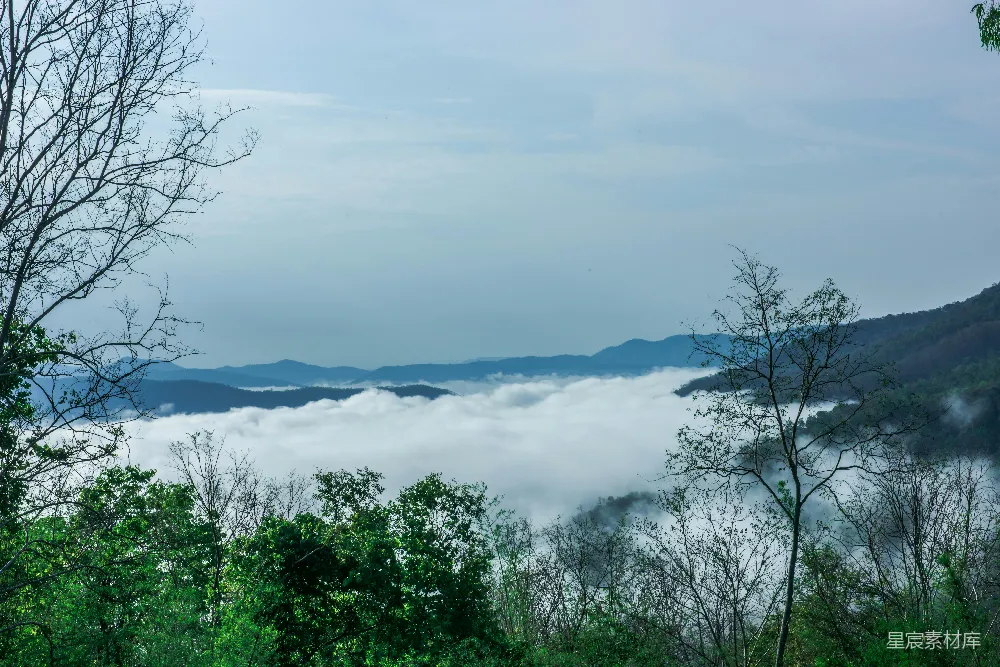高清摄影 白天绿树环绕的水域附近