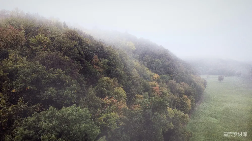 高清摄影 山间雾日的绿树