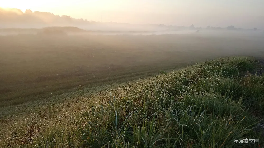 高清摄影 白天绿草地上方是蓝天