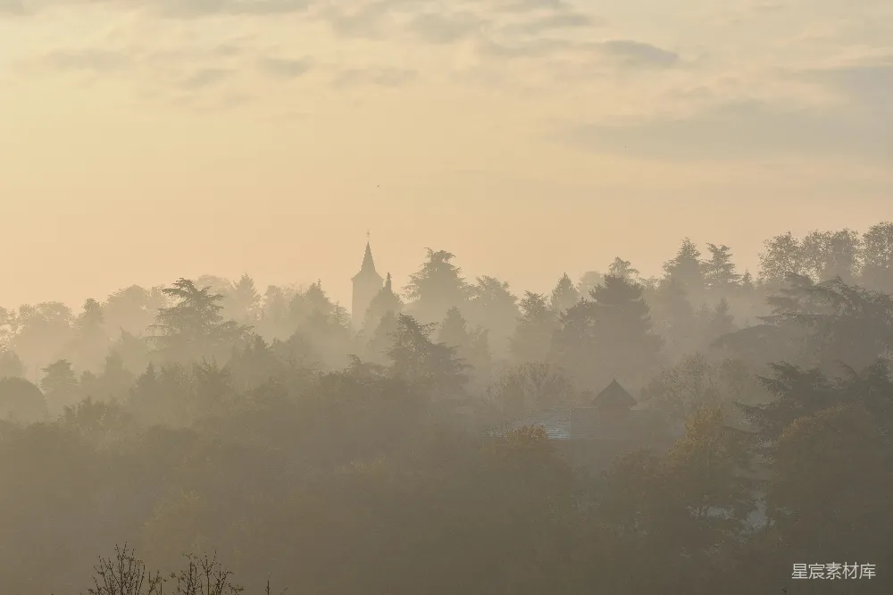 高清摄影 白昼绿树间云影浮动
