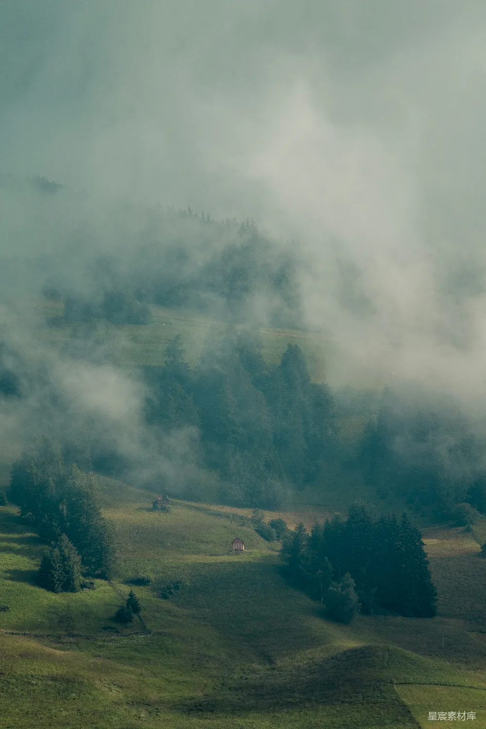 高清摄影 有树和雾的风景