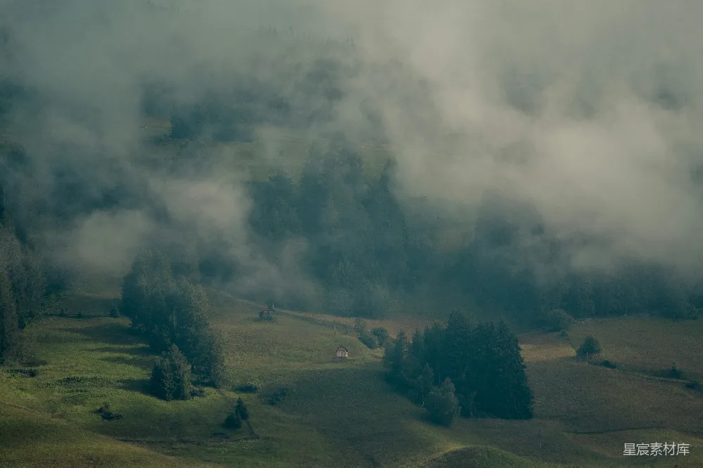 高清摄影  有树有云的风景